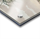 Long-billed Curlew Acrylic print