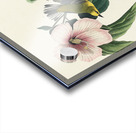 Blue-winged Yellow Warbler Acrylic print