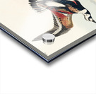 Turn-stone Acrylic print