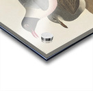 Black-headed Gull Acrylic print