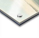 Havells Tern and Trudeaus Tern Acrylic print