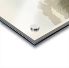 Least Water-hen Acrylic print