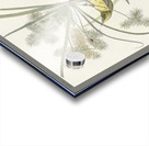 Prairie Warbler Impression Acrylique