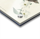 Sanderling Acrylic print