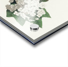 Yellow-throated Vireo Acrylic print