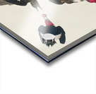 Red-headed Woodpecker Acrylic print