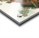 Ruffed Grouse Acrylic print