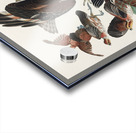 Virginian Partridge Acrylic print