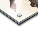 Red-headed Duck Acrylic print