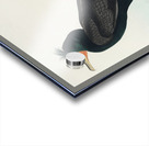 Double-crested Cormorant Acrylic print