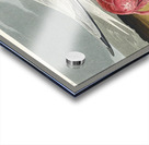 Trumpeter Swan Acrylic print