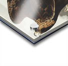 Golden Eagle Acrylic print