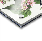 Black & Yellow Warblers Acrylic print