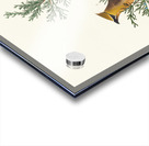 Cedar Bird Acrylic print