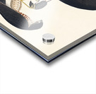 Sharp-shinned Hawk Acrylic print