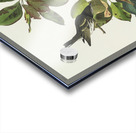 Black-poll Warbler Acrylic print