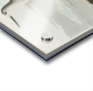 Greenshank Acrylic print