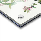 Green Black-Capt Flycatcher Acrylic print