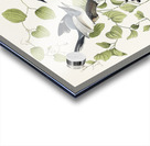 Loggerhead Shrike Acrylic print