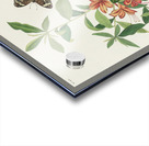 Brown headed Worm eating Warbler Acrylic print