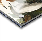 Purple Heron Acrylic print