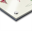 Henslows Bunting Acrylic print