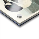 Henslows Bunting Acrylic print