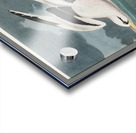 Tropic Bird Acrylic print