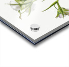 On the Road to Monument 1881 Acrylic print