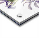 On the Road to Monument 1881 Acrylic print