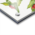 Fairy–bells Disporum hookeri 1933 Acrylic print