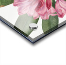 Mountain Rose Bay Rhododendron catawbiense 1932 Acrylic print