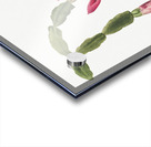 Flower Study 1878 Acrylic print