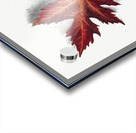 Autumn Leaf 1874 Acrylic print