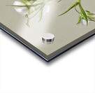 On the Road to Monument 1881 Acrylic print