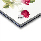 Rose 1878 Acrylic print