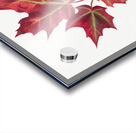 Autumn Leaves 1874  Acrylic print