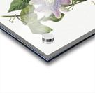 Flower Study 1879 Acrylic print