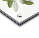 Autumn Leaves 1874 Acrylic print