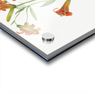 Small Tiger Lily Lilium parvum 1933 Acrylic print