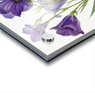 Eustoma russelianum 1930 Acrylic print