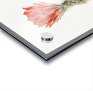 Cucumber Cactus 1939 Acrylic print