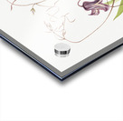 Curly Clematis Clematis crispa 1925 Acrylic print