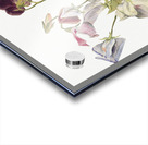 Flower Study 1886 Acrylic print