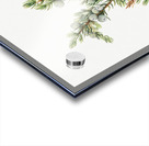 Mountain Juniper Juniperus sibirica 1917 Acrylic print