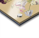 Flower Study 1886  Acrylic print