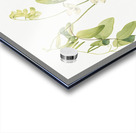 White Pea Lathyrus ochroleucus 1920 Acrylic print