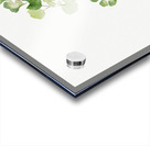 Puccoon Lithospermum ruderale 1923 Acrylic print