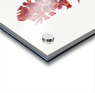 Snow Plant Sarcodes sanguinea 1930 Acrylic print