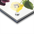 Pansies 1875 Acrylic print